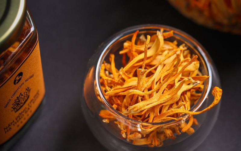 Địa điểm bán đông trùng hạ thảo Hàn Quốc chính hãng, uy tín