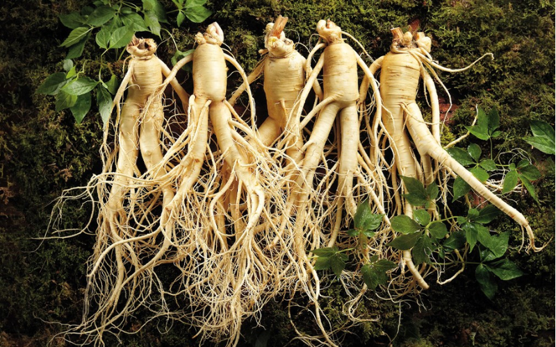 Bật mí 5 loại thực phẩm bảo vệ sức khỏe phổ biến của Hàn Quốc  