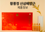 Tinh chất sâm núi Punggi Ginseng 20ml*20 ống
