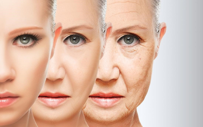 Công dụng của cao sâm Hàn Quốc được nhiều người biết đến đó là chống lão hoá